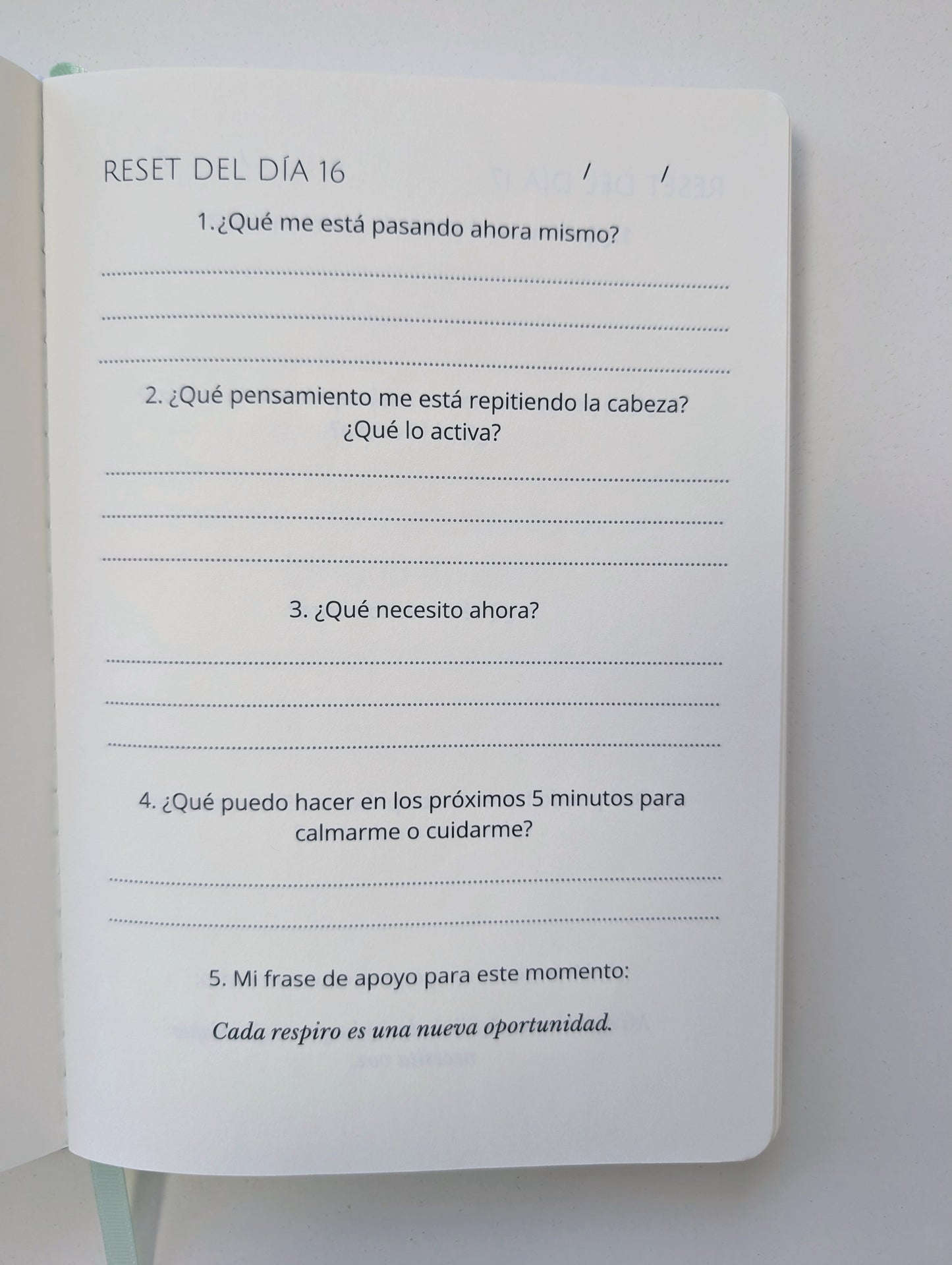 Reset Button Journal