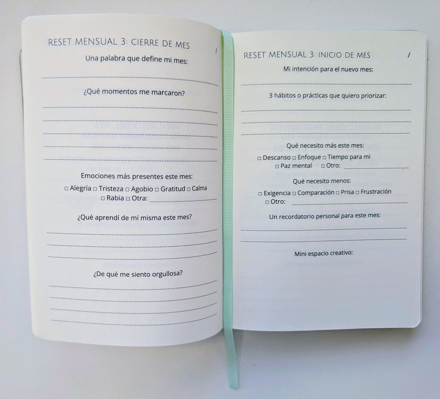 Reset Button Journal