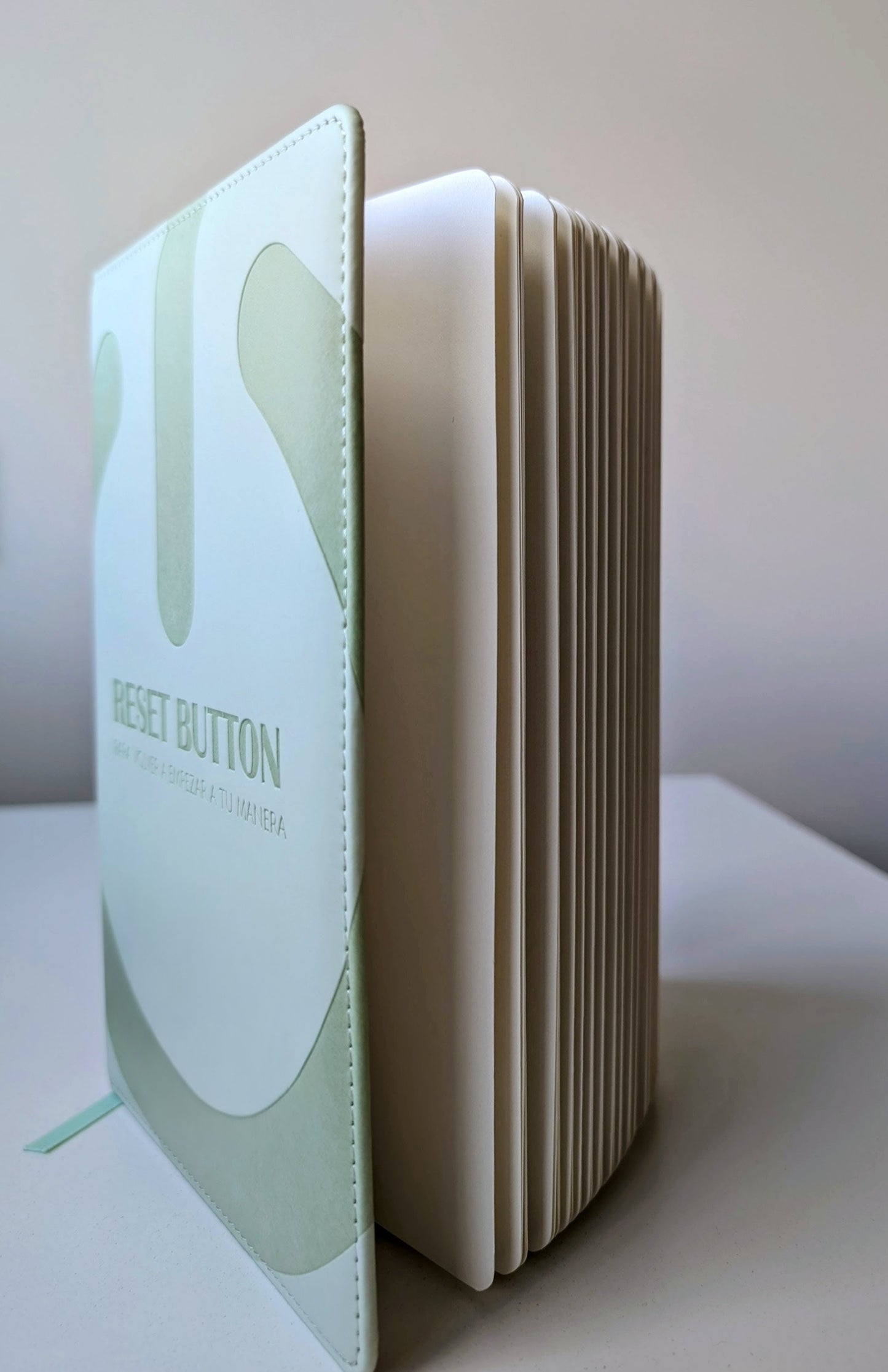 Reset Button Journal