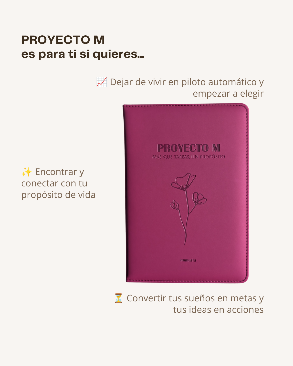 Proyecto M Journal